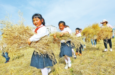 鄭州一小學(xué)有個農(nóng)趣園 師生們可在這播種勞作收獲