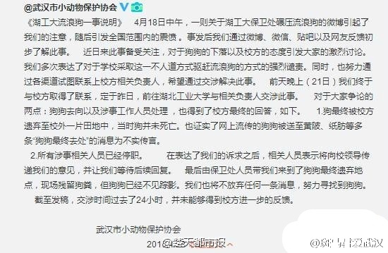 武漢動協(xié)就保安撞狗護發(fā)公告:涉事人員已停職